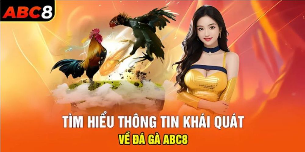 Giới Thiệu Về Đá Gà ABC8